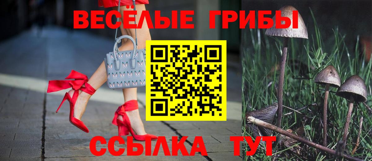 Барнаул  Псилоцибиновые грибы GOLDEN TEACHER  цена   Вход с VPN 