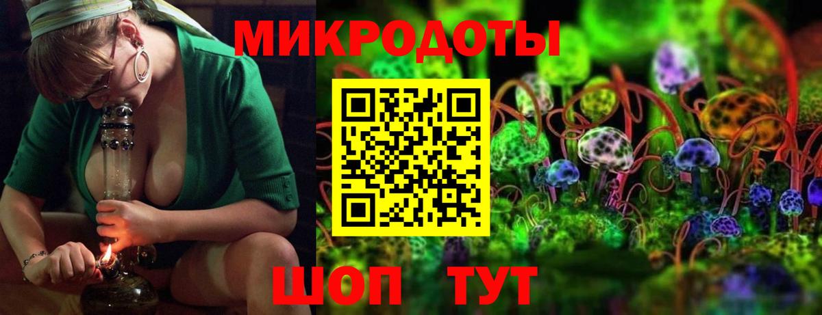 Псилоцибиновые грибы Psilocybe Барнаул